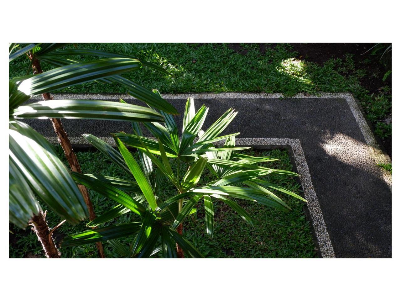 In Da Garden Appartement Ubud Buitenkant foto