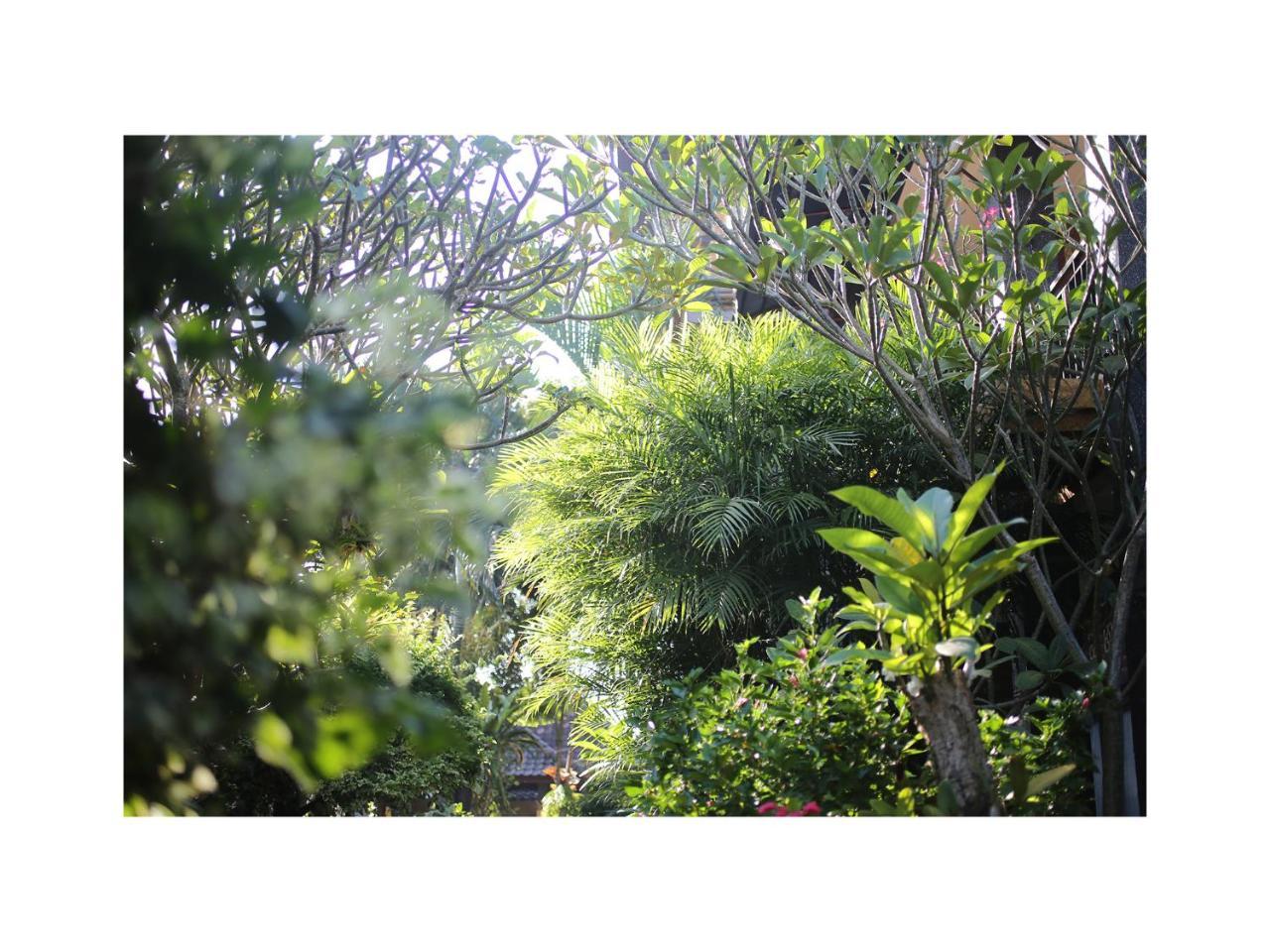 In Da Garden Appartement Ubud Buitenkant foto